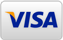 Karta płatnicza VISA
